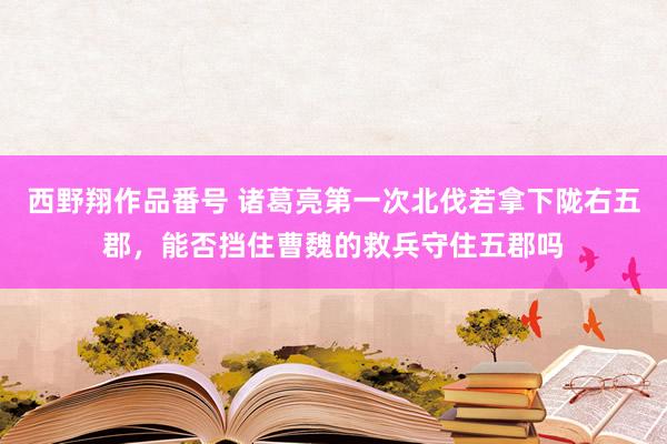 西野翔作品番号 诸葛亮第一次北伐若拿下陇右五郡，能否挡住曹魏的救兵守住五郡吗