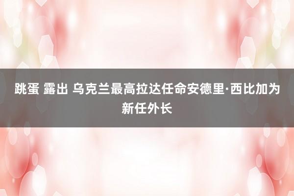 跳蛋 露出 乌克兰最高拉达任命安德里·西比加为新任外长