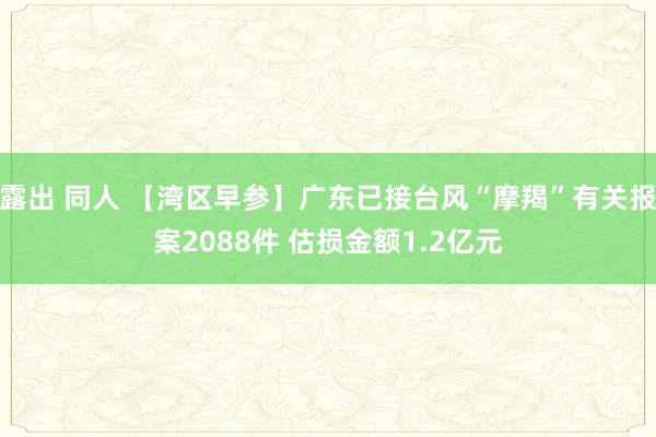 露出 同人 【湾区早参】广东已接台风“摩羯”有关报案2088件 估损金额1.2亿元