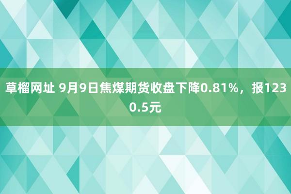 草榴网址 9月9日焦煤期货收盘下降0.81%，报1230.5元