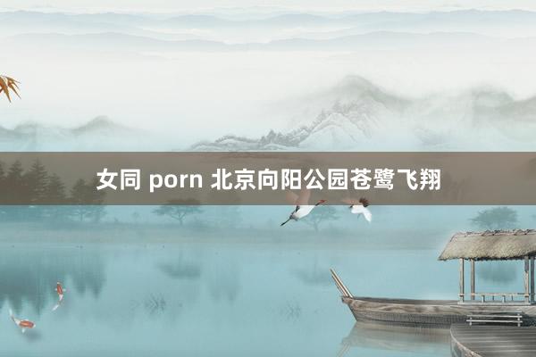 女同 porn 北京向阳公园苍鹭飞翔