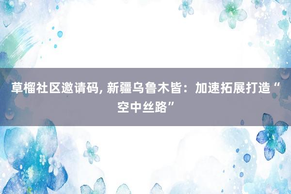 草榴社区邀请码， 新疆乌鲁木皆：加速拓展打造“空中丝路”