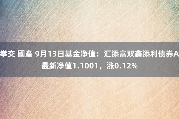 拳交 國產 9月13日基金净值：汇添富双鑫添利债券A最新净值1.1001，涨0.12%