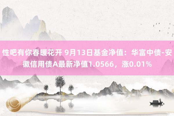 性吧有你春暖花开 9月13日基金净值：华富中债-安徽信用债A最新净值1.0566，涨0.01%