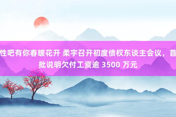 性吧有你春暖花开 柔宇召开初度债权东谈主会议，首批说明欠付工资逾 3500 万元