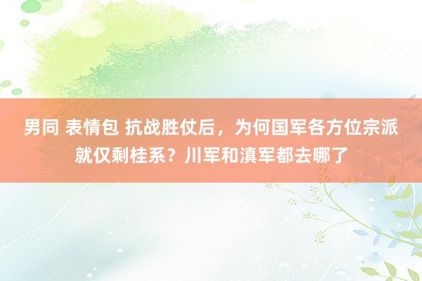 男同 表情包 抗战胜仗后，为何国军各方位宗派就仅剩桂系？川军和滇军都去哪了