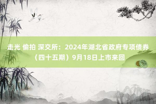 走光 偷拍 深交所：2024年湖北省政府专项债券（四十五期）9月18日上市来回