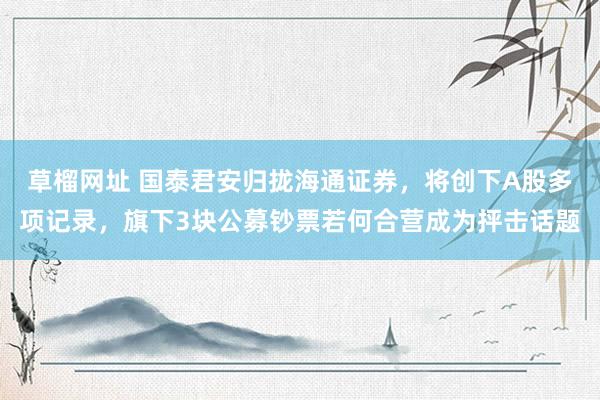 草榴网址 国泰君安归拢海通证券，将创下A股多项记录，旗下3块公募钞票若何合营成为抨击话题