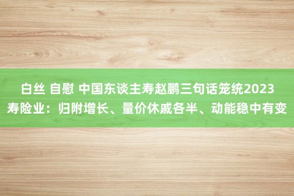 白丝 自慰 中国东谈主寿赵鹏三句话笼统2023寿险业：归附增长、量价休戚各半、动能稳中有变