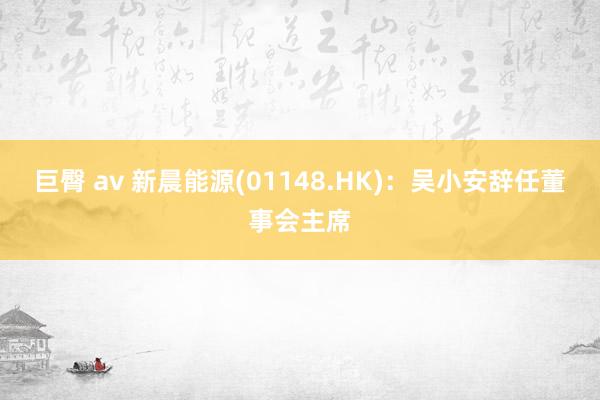 巨臀 av 新晨能源(01148.HK)：吴小安辞任董事会主席