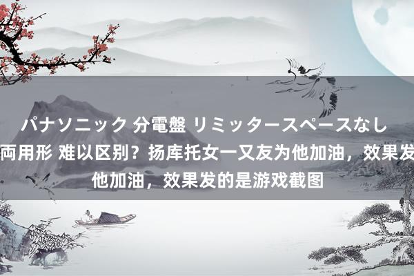 パナソニック 分電盤 リミッタースペースなし 露出・半埋込両用形 难以区别？扬库托女一又友为他加油，效果发的是游戏截图