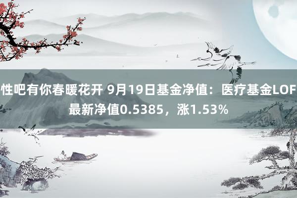 性吧有你春暖花开 9月19日基金净值：医疗基金LOF最新净值0.5385，涨1.53%