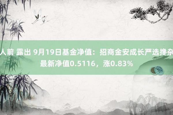 人前 露出 9月19日基金净值：招商金安成长严选搀杂最新净值0.5116，涨0.83%