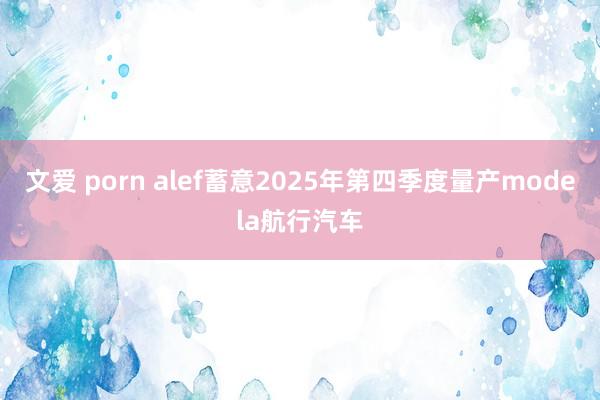 文爱 porn alef蓄意2025年第四季度量产modela航行汽车