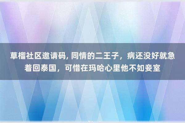 草榴社区邀请码， 同情的二王子，病还没好就急着回泰国，可惜在玛哈心里他不如妾室