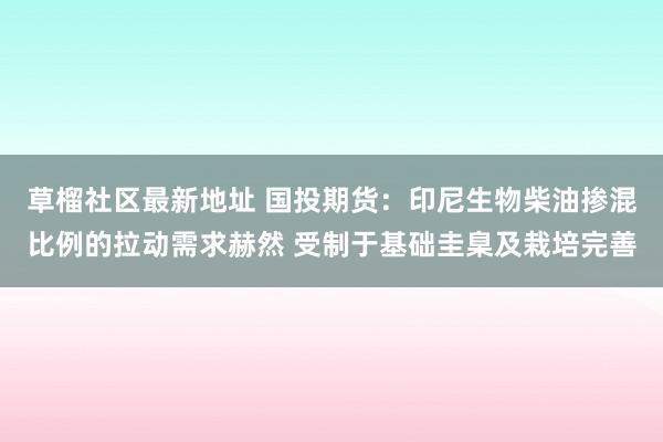 草榴社区最新地址 国投期货：印尼生物柴油掺混比例的拉动需求赫然 受制于基础圭臬及栽培完善