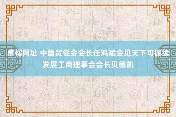 草榴网址 中国贸促会会长任鸿斌会见天下可握续发展工商理事会会长贝德凯