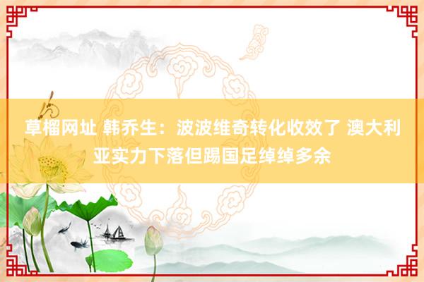 草榴网址 韩乔生：波波维奇转化收效了 澳大利亚实力下落但踢国足绰绰多余