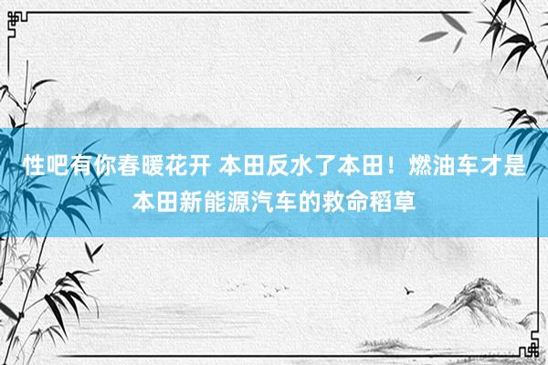 性吧有你春暖花开 本田反水了本田！燃油车才是本田新能源汽车的救命稻草