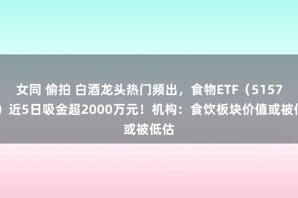 女同 偷拍 白酒龙头热门频出，食物ETF（515710）近5日吸金超2000万元！机构：食饮板块价值或被低估