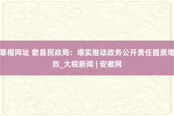 草榴网址 歙县民政局：塌实推动政务公开责任提质增效_大皖新闻 | 安徽网