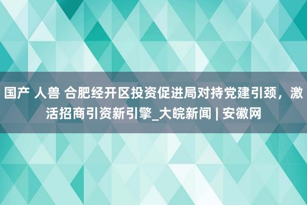 国产 人兽 合肥经开区投资促进局对持党建引颈，激活招商引资新引擎_大皖新闻 | 安徽网