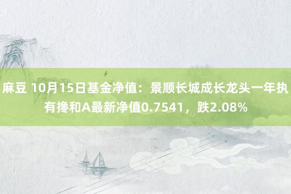 麻豆 10月15日基金净值：景顺长城成长龙头一年执有搀和A最新净值0.7541，跌2.08%