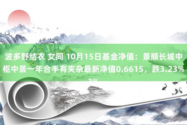 波多野结衣 女同 10月15日基金净值：景顺长城中枢中景一年合手有夹杂最新净值0.6615，跌3.23%