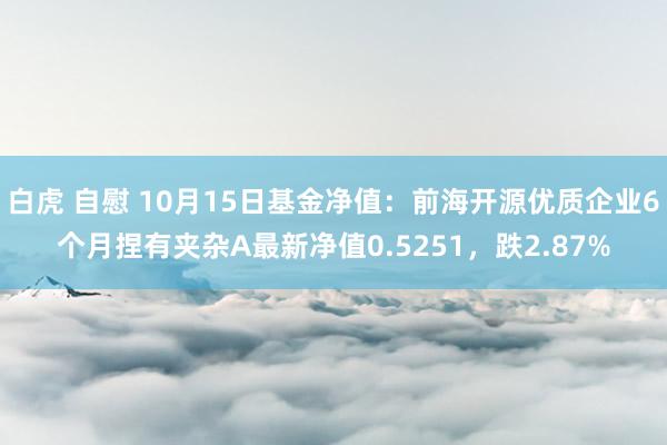 白虎 自慰 10月15日基金净值：前海开源优质企业6个月捏有夹杂A最新净值0.5251，跌2.87%