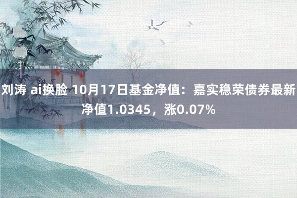 刘涛 ai换脸 10月17日基金净值：嘉实稳荣债券最新净值1.0345，涨0.07%