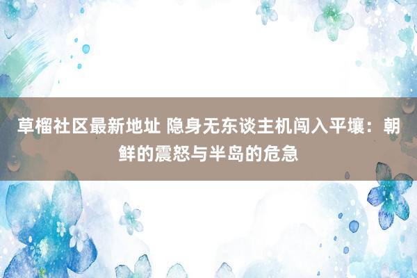 草榴社区最新地址 隐身无东谈主机闯入平壤：朝鲜的震怒与半岛的危急