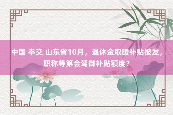 中国 拳交 山东省10月，退休金取暖补贴披发，职称等第会驾御补贴额度？