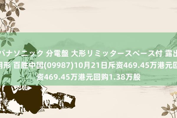 パナソニック 分電盤 大形リミッタースペース付 露出・半埋込両用形 百胜中国(09987)10月21日斥资469.45万港元回购1.38万股