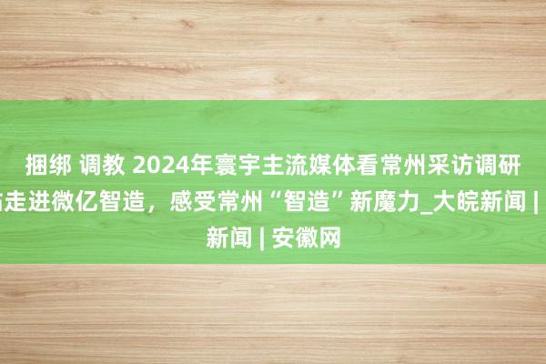 捆绑 调教 2024年寰宇主流媒体看常州采访调研｜首站走进微亿智造，感受常州“智造”新魔力_大皖新闻 | 安徽网