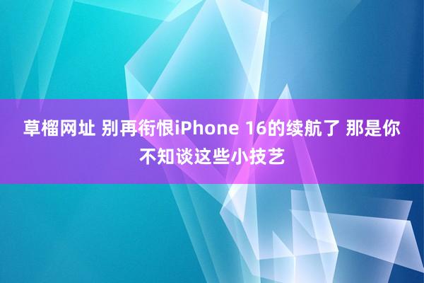 草榴网址 别再衔恨iPhone 16的续航了 那是你不知谈这些小技艺