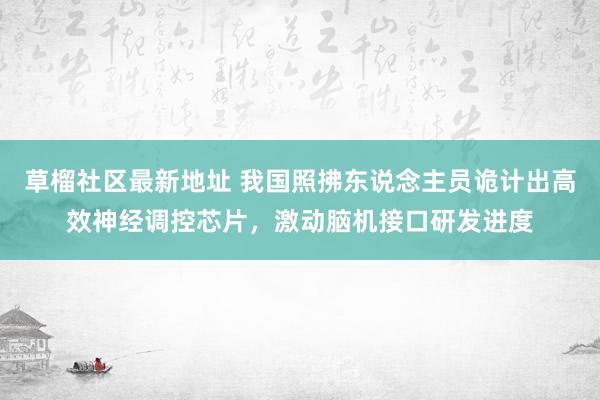 草榴社区最新地址 我国照拂东说念主员诡计出高效神经调控芯片，激动脑机接口研发进度