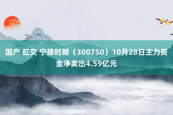 国产 肛交 宁德时期（300750）10月28日主力资金净卖出4.59亿元