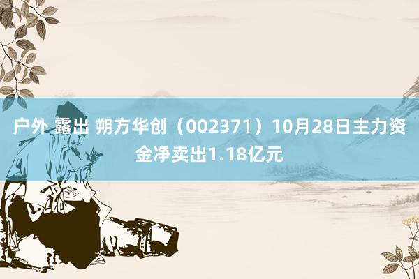 户外 露出 朔方华创（002371）10月28日主力资金净卖出1.18亿元