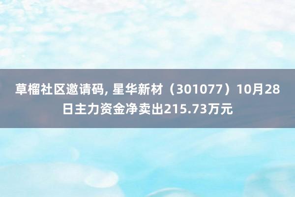 草榴社区邀请码， 星华新材（301077）10月28日主力资金净卖出215.73万元