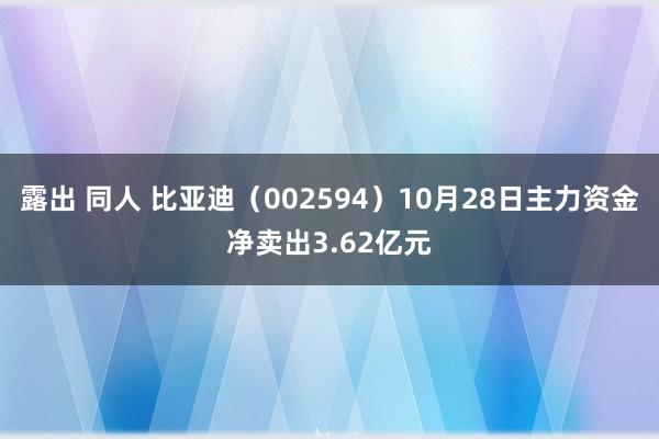 露出 同人 比亚迪（002594）10月28日主力资金净卖出3.62亿元