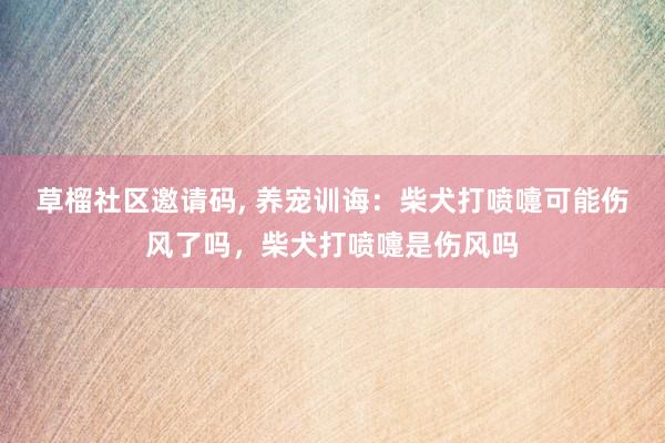 草榴社区邀请码， 养宠训诲：柴犬打喷嚏可能伤风了吗，柴犬打喷嚏是伤风吗