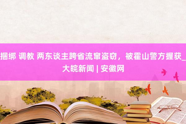 捆绑 调教 两东谈主跨省流窜盗窃，被霍山警方握获_大皖新闻 | 安徽网