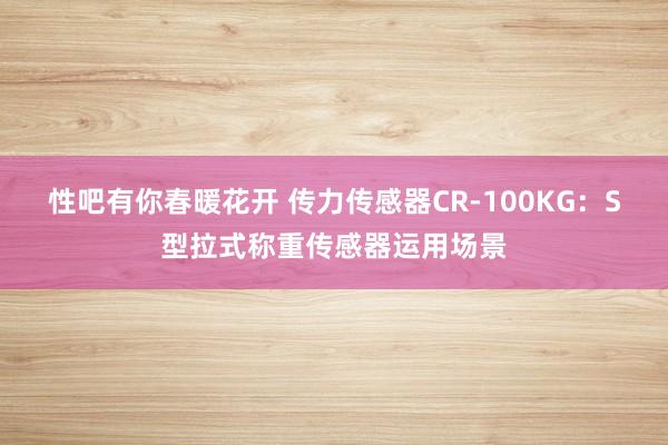 性吧有你春暖花开 传力传感器CR-100KG：S型拉式称重传感器运用场景