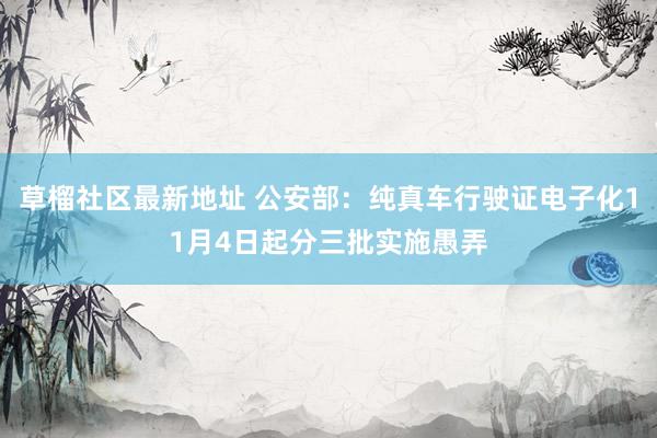 草榴社区最新地址 公安部：纯真车行驶证电子化11月4日起分三批实施愚弄