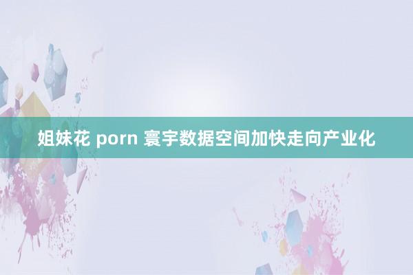 姐妹花 porn 寰宇数据空间加快走向产业化