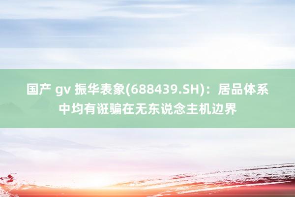 国产 gv 振华表象(688439.SH)：居品体系中均有诳骗在无东说念主机边界