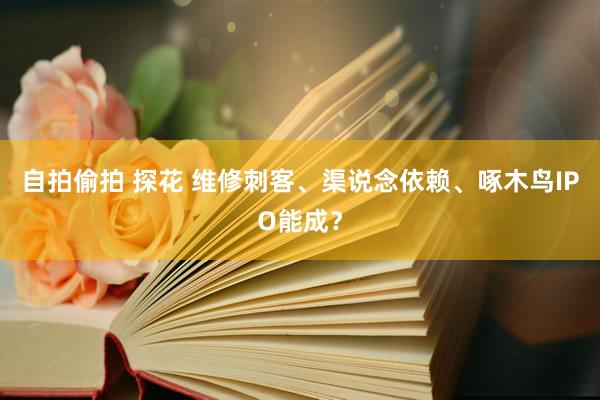 自拍偷拍 探花 维修刺客、渠说念依赖、啄木鸟IPO能成？