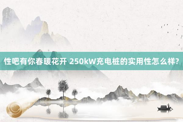 性吧有你春暖花开 250kW充电桩的实用性怎么样?