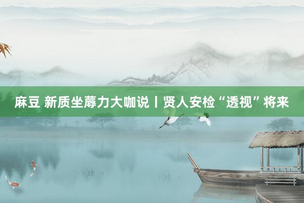 麻豆 新质坐蓐力大咖说丨贤人安检“透视”将来