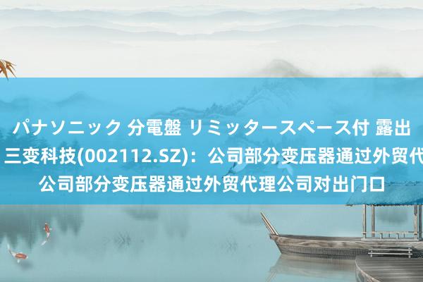 パナソニック 分電盤 リミッタースペース付 露出・半埋込両用形 三变科技(002112.SZ)：公司部分变压器通过外贸代理公司对出门口